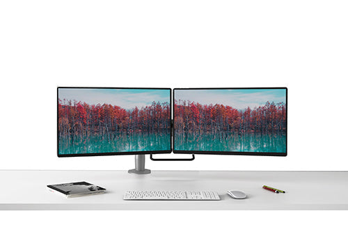 Adapt Doppel-Monitorarm